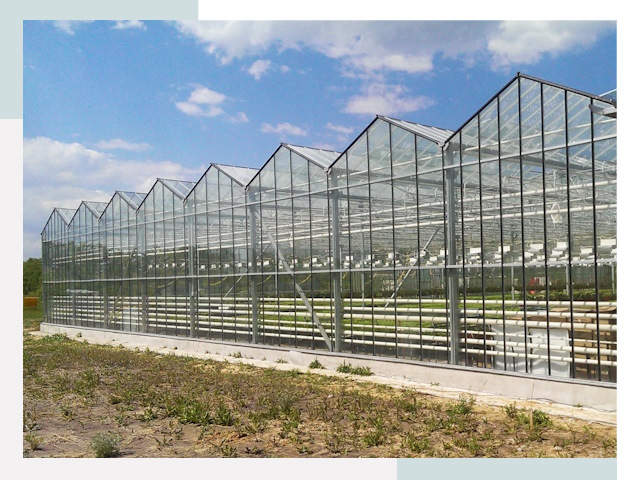 Строительство теплиц в Костомукша от 612 руб. за м²